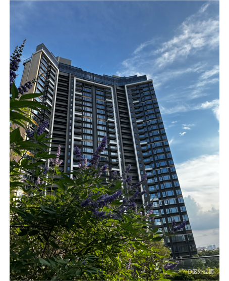 从番实幼儿园到“金牌摇篮” 新鸿基地产峻銮全龄段名校