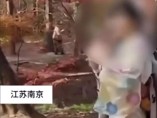 这里曾是日军屠杀地,如今成“日系打卡圣地”?