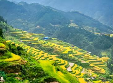 粤桂连心、鱼跃湾区