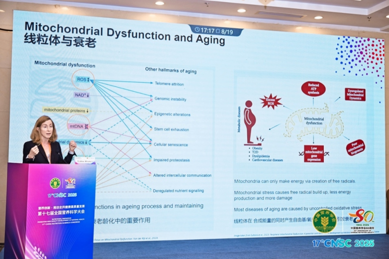 全国营养科学大会聚焦“健康老龄化”：新西兰细胞健康先锋品牌MitoQ受邀探讨线粒体营养抗衰新路径