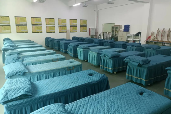 专业介绍丨中医养生保健专业