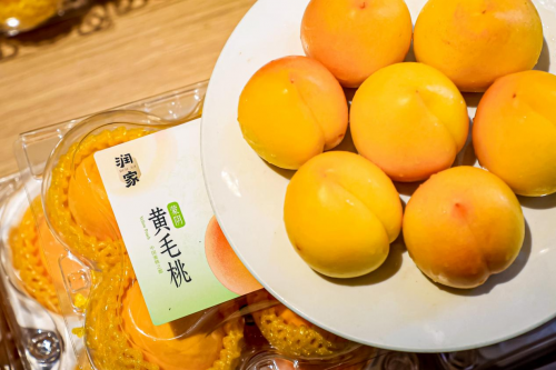 金秋助农启新篇！广东省2025年消费帮扶行动启动，华润万家“焕乡行动”品牌正式发布