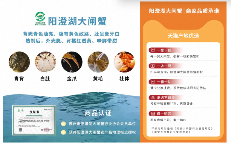 大闸蟹销售旺季提前,天猫主推“活蟹”销售,货量更多、品质更好
