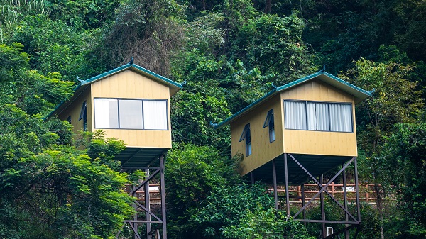 1753867598232811.jpg CXM-08621.jpg