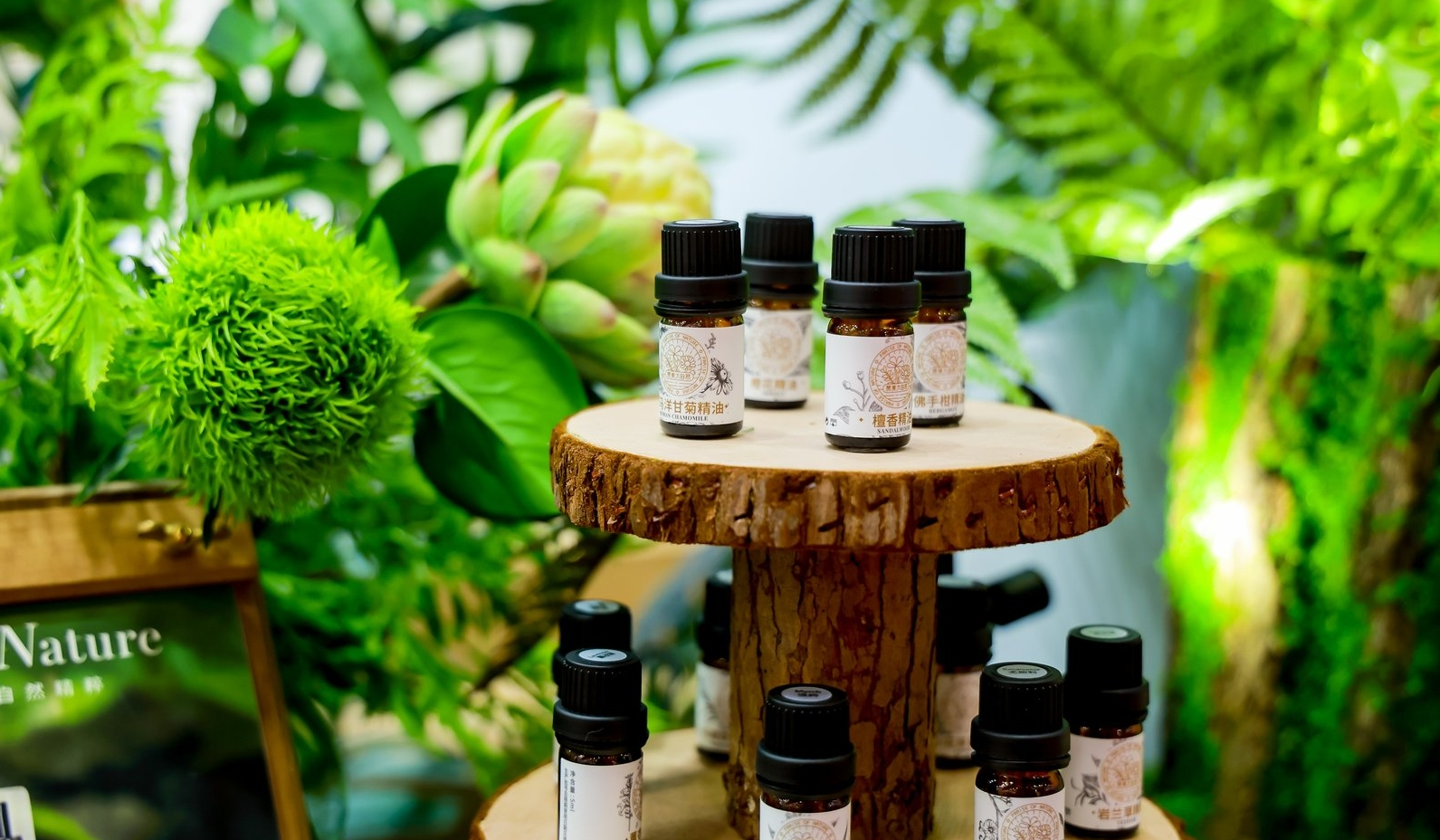 /images/replace/d40cce4907d2135b14d6994608fea026.png /images/replace/d40cce4907d2135b14d6994608fea026.png