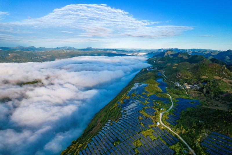 阳光新能源“追光者节·科技追光之旅”北京迎来收官，以创新引领行业高质量发展