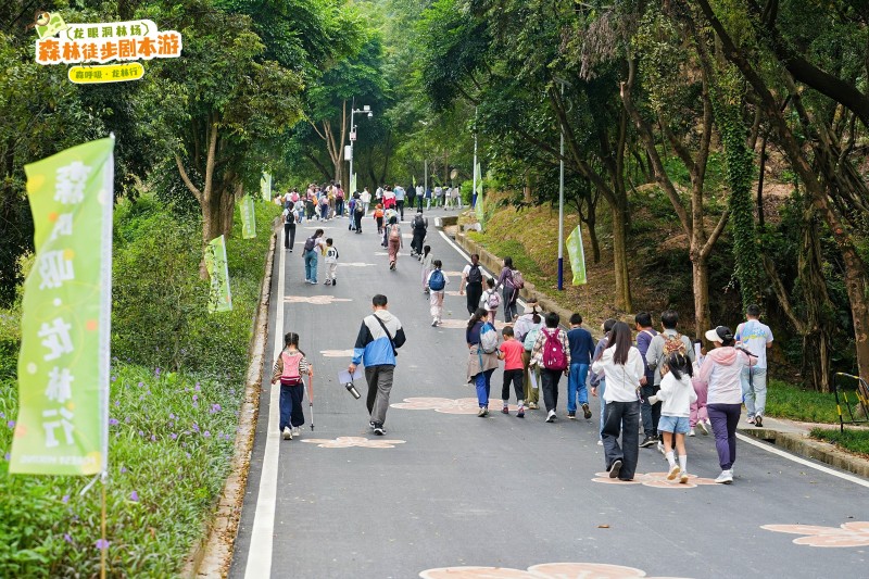 当森林变成‘剧本场’!这场徒步盛会,藏着绿美广东的新诗意