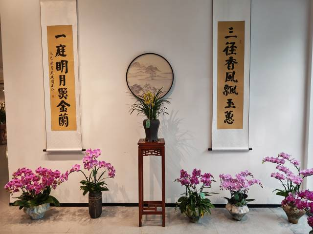 鹏举仙邑、兰之猗猗，翁源兰花展在深圳启幕