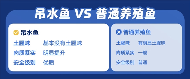 更安心、更好吃!京东七鲜吊水鱼上新,“10天吊水净化”解锁健康美味