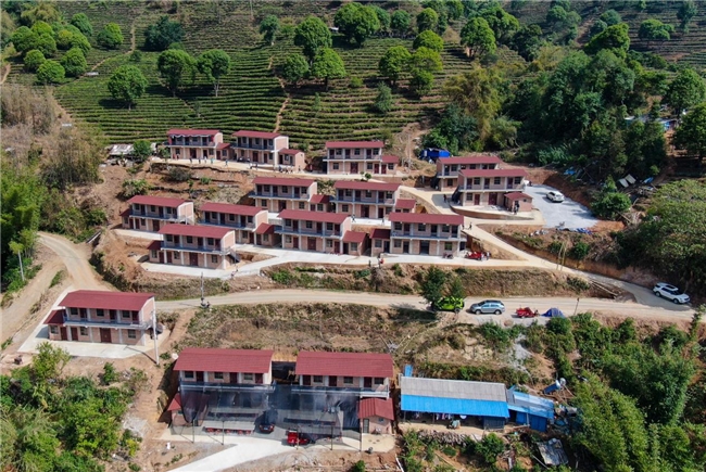 85年匠心守初心！大益勐海茶厂借厂庆奏响乡村振兴 “茶旅交响曲”