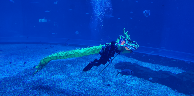 深圳国庆出游新地标!小梅沙海洋世界双园联动,开启“海与火”狂欢模式