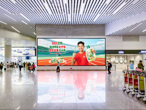 代言人苏炳添点燃全运主火炬，立白护航全民健康盛会