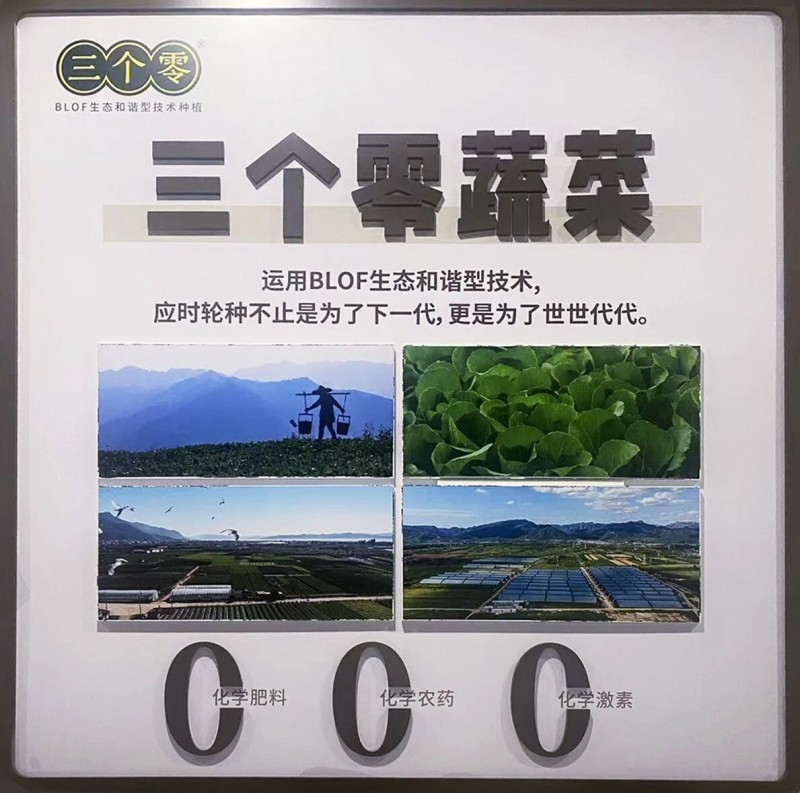 百果园X远洲集团就安吉县健康疗愈部分项目达成战略合作