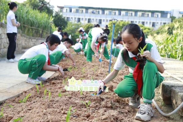 农耕科普进校园天河儿童公园与吉山小学共筑劳动教育新课堂