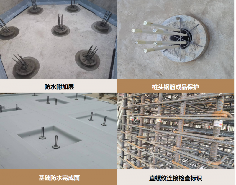 擎起光明，招商蛇口智慧城A5栋交付开业