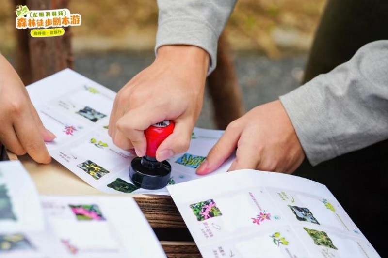 当森林变成‘剧本场’！这场徒步盛会，藏着绿美广东的新诗意