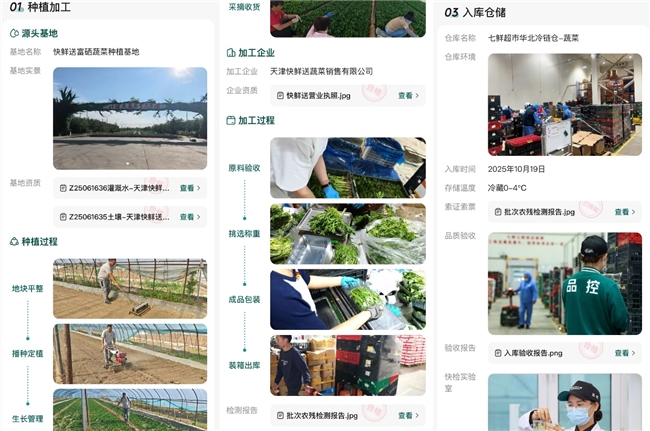 24小时从田间到货架,京东七鲜让蔬菜跑出“真新鲜”