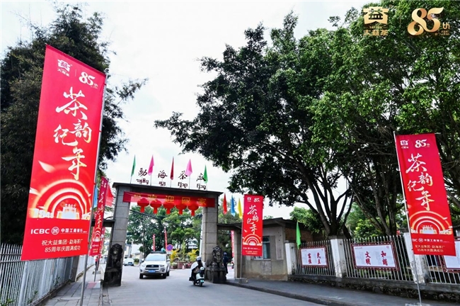85年匠心守初心!大益勐海茶厂借厂庆奏响乡村振兴 “茶旅交响曲”