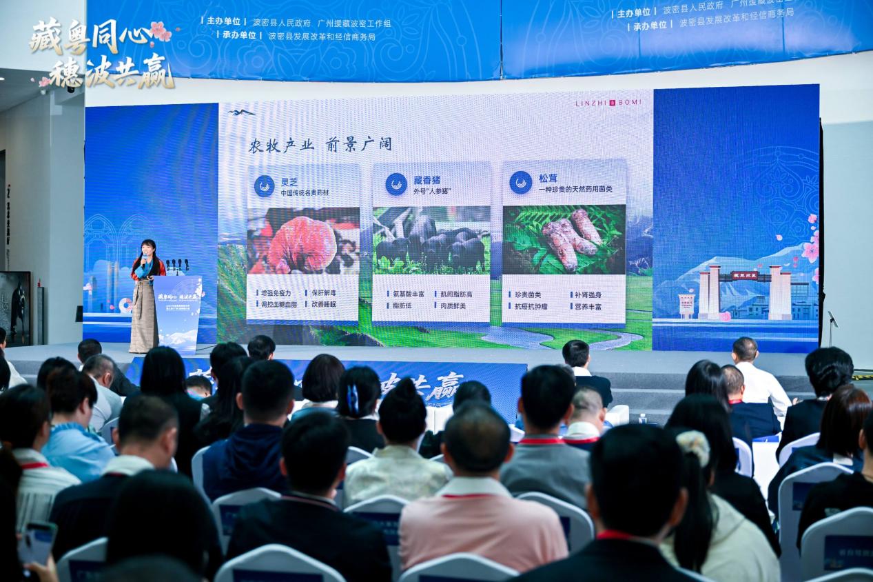 2025“藏粤同心,穗波共赢”波密县招商引资暨文旅(广州)推介会圆满举行