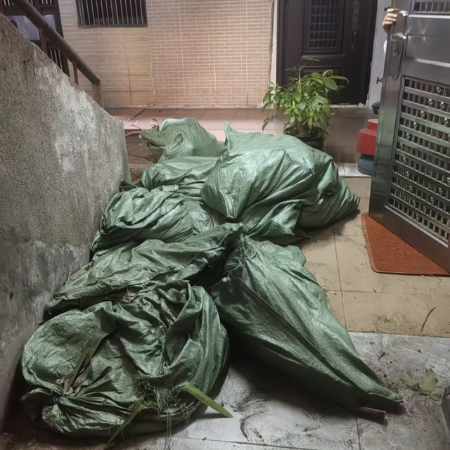 基孔肯雅热与恐慌之间,我们该防的是什么?