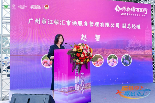 伽师新梅万里行甜蜜登陆广州，共启南国甜蜜新篇章