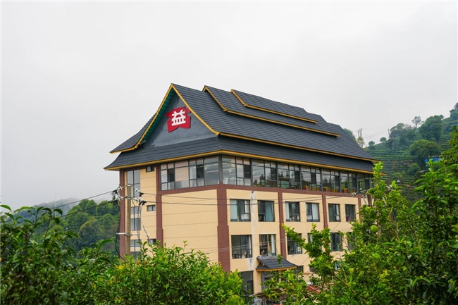 85年匠心守初心!大益勐海茶厂借厂庆奏响乡村振兴 “茶旅交响曲”