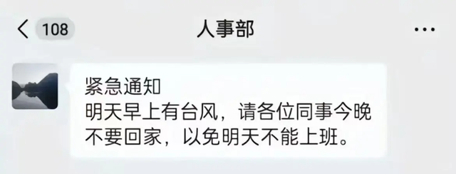 广东人等个台风等出了过年的感觉