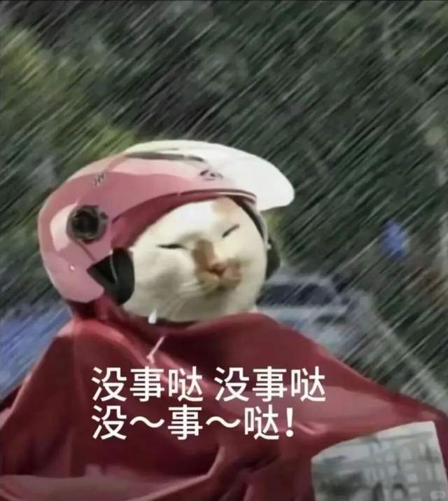 广东人等个台风等出了过年的感觉
