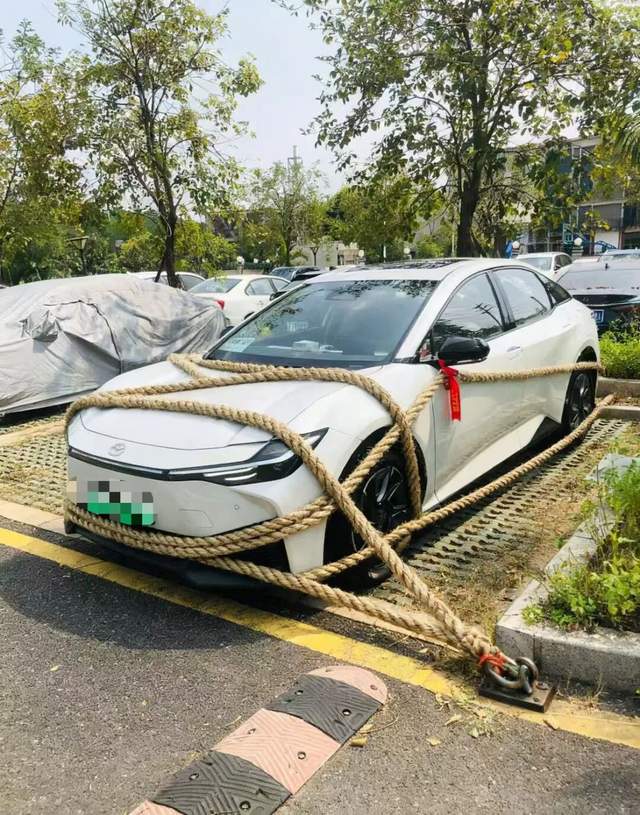 广东人等个台风等出了过年的感觉