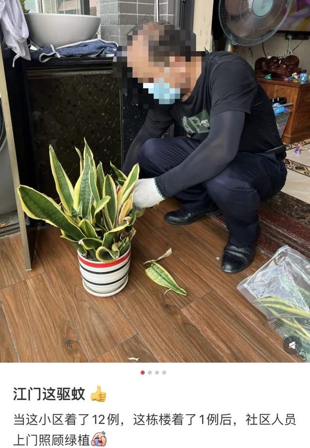 基孔肯雅热与恐慌之间,我们该防的是什么?