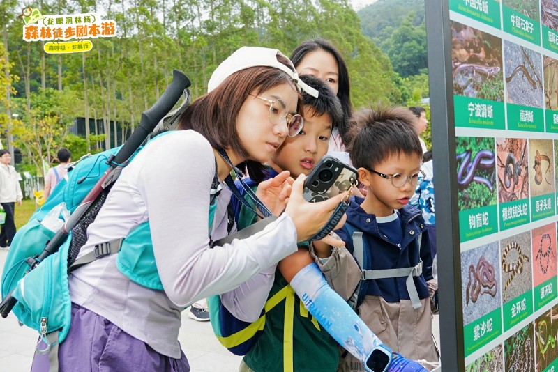 当森林变成‘剧本场’！这场徒步盛会，藏着绿美广东的新诗意