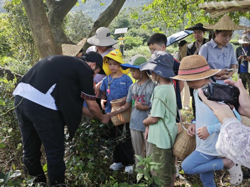南岭国家公园候选区罗坑片区自然科普活动圆满落幕，生态与非遗共绘和谐发展新图景