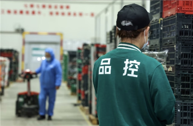 24小时从田间到货架,京东七鲜让蔬菜跑出“真新鲜”