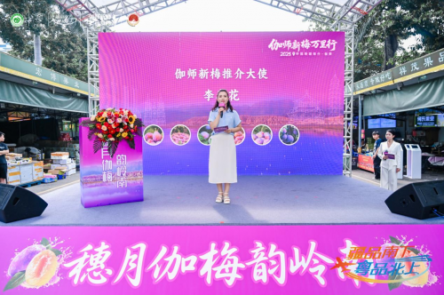 伽师新梅万里行甜蜜登陆广州，共启南国甜蜜新篇章