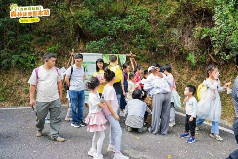 当森林变成‘剧本场’！这场徒步盛会，藏着绿美广东的新诗意