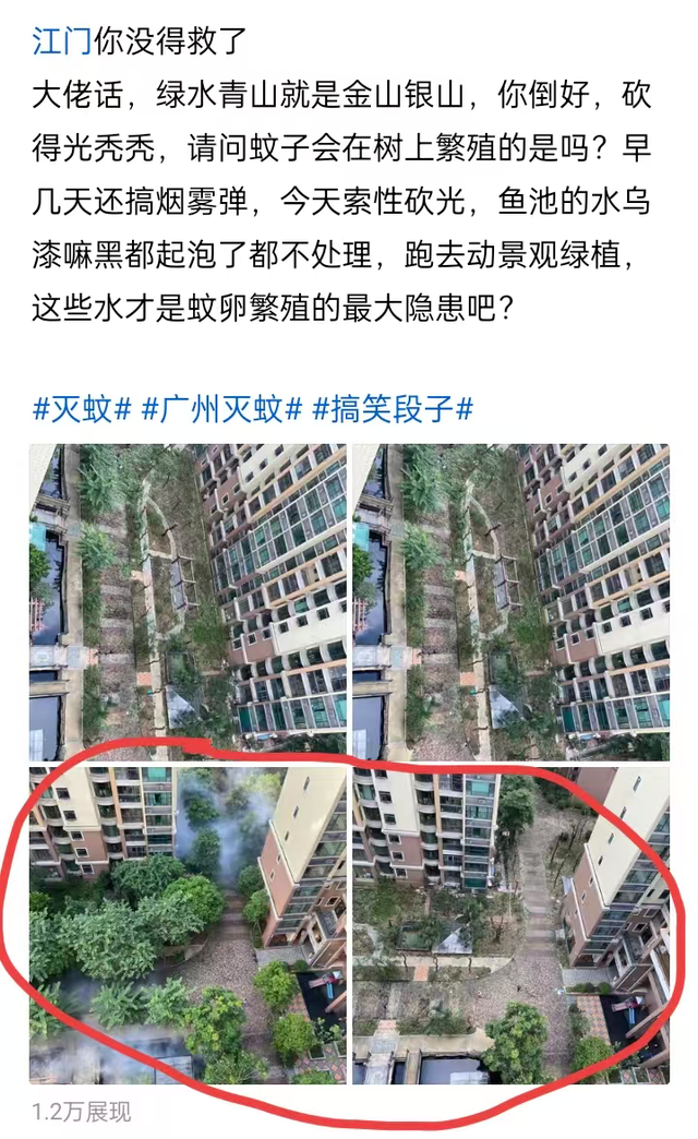 基孔肯雅热与恐慌之间,我们该防的是什么?