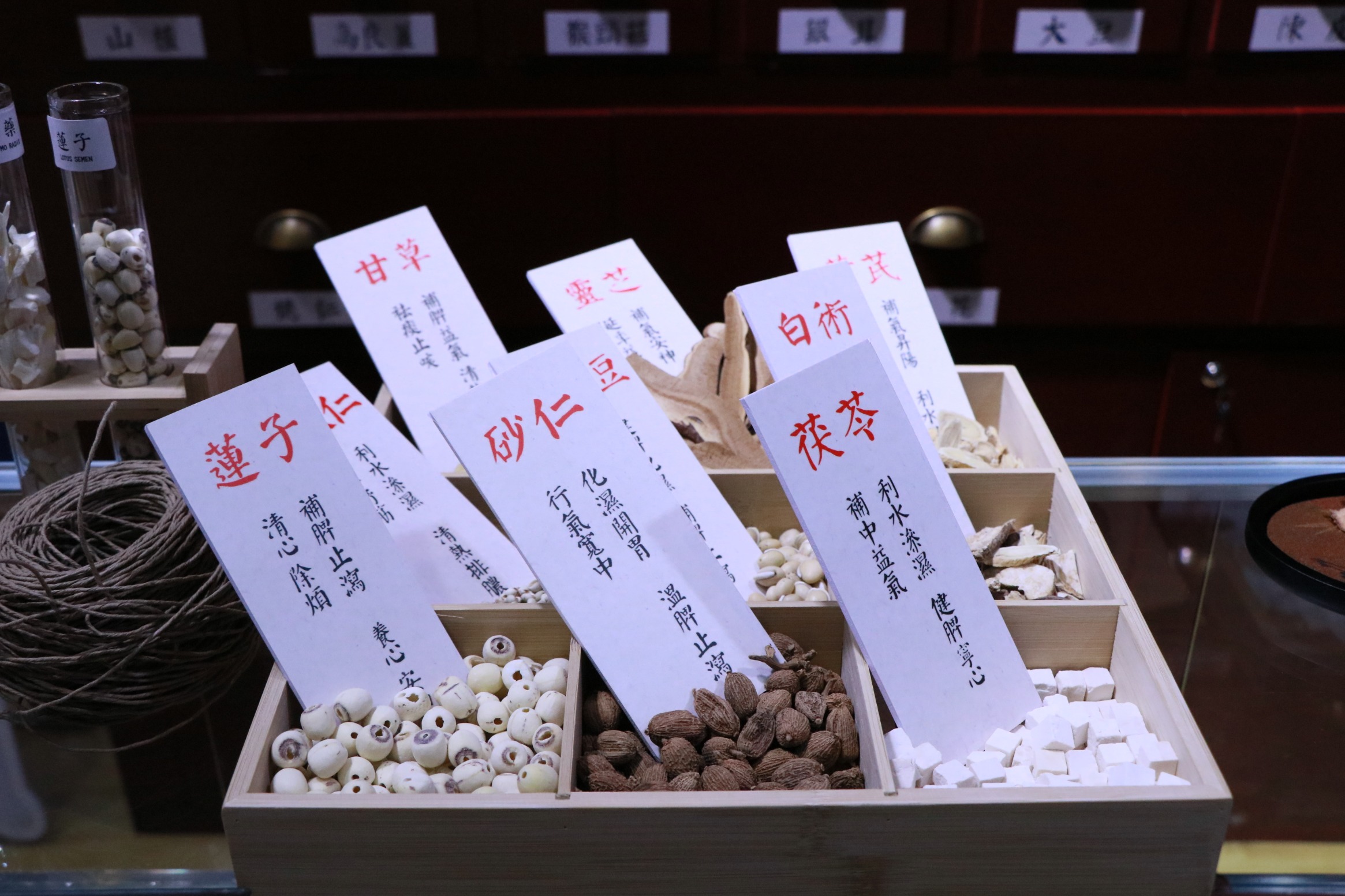 进博会上的草本创新:小主无湿轻、血气丹以现代科技诠释千年汉方智慧