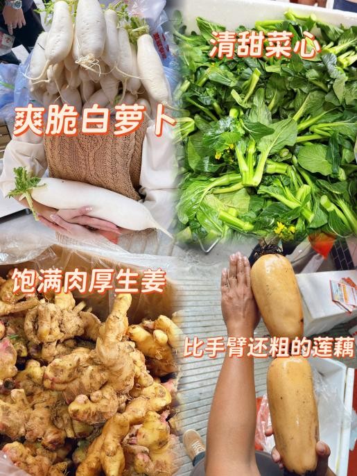 盘福智慧新街市11月3日盛大开业,多重福利点亮市民“菜篮子”