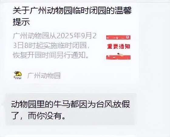 广东人等个台风等出了过年的感觉