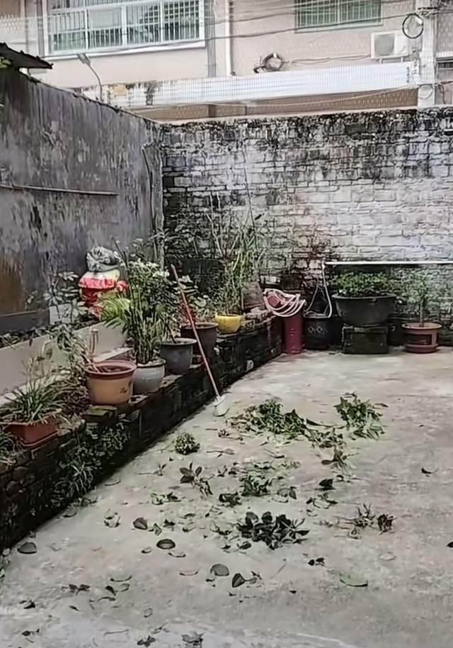基孔肯雅热与恐慌之间,我们该防的是什么?