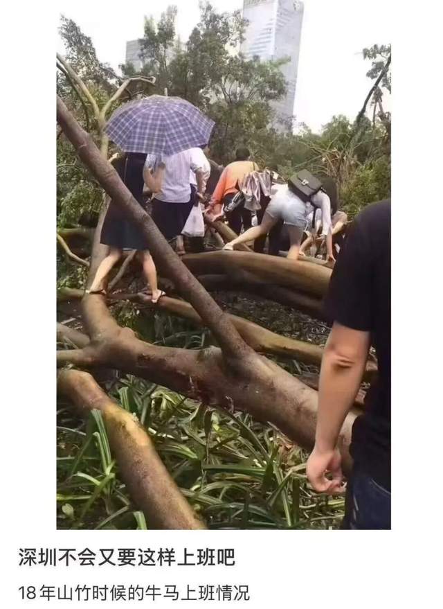 广东人等个台风等出了过年的感觉