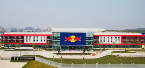 天丝集团红牛品牌亮相第八届进博会,为中泰经贸往来添动能