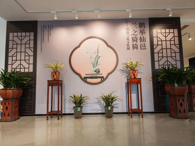 鹏举仙邑、兰之猗猗,翁源兰花展在深圳启幕